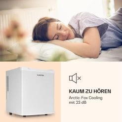 Silent Cool Kühlschrank Mini-Bar 30 Liter Volumen Arctic-Fox Cooling -Küchengeräte Geschäft 10033056 de 0003 logo