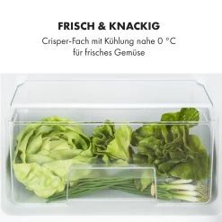 Big Daddy Cool Kühl-Gefrierkombination 61/25 Liter 2 Ebenen Edelstahl 18 Big Daddy Cool Kühl-Gefrierkombination 61/25 Liter 2 Ebenen Edelstahl -Küchengeräte Geschäft 10034005 de 0005 logo