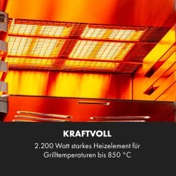 Hannibal Hochtemperaturgrill Indoor 2.200W 850°C Edelstahl Silber -Küchengeräte Geschäft 10034803 de 0004 logo