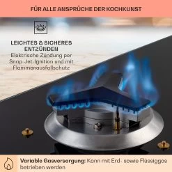 Trifecta 5 Gaskochfeld 5-flammig Triangle-Brenner Glaskeramik -Küchengeräte Geschäft 10035470 de 0005 usp