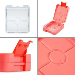 Schmatzfatz Easy Snackbox 4 Fächer 18 X 15 X 5 Cm (BxHxT) 14 Schmatzfatz Easy Snackbox 4 Fächer 18 X 15 X 5 Cm (BxHxT) -Küchengeräte Geschäft 10037945 yy 0006 logo